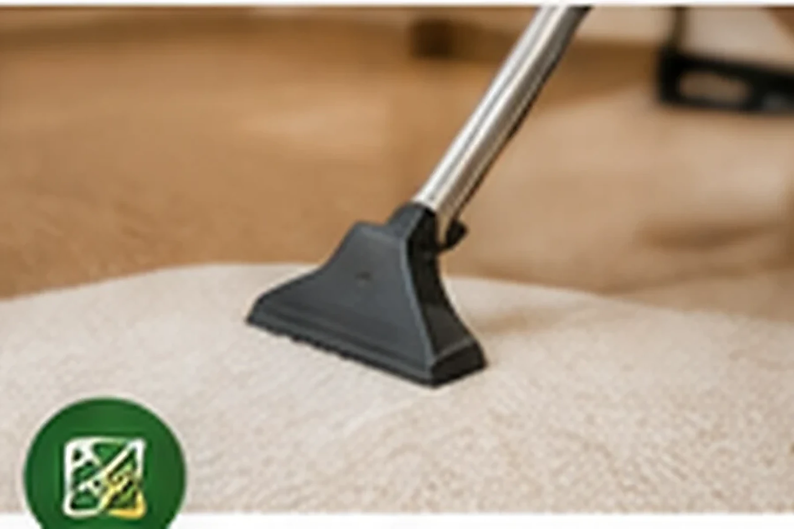 Professional carpet extraction cleaning