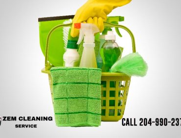zem-eco-cleaning2